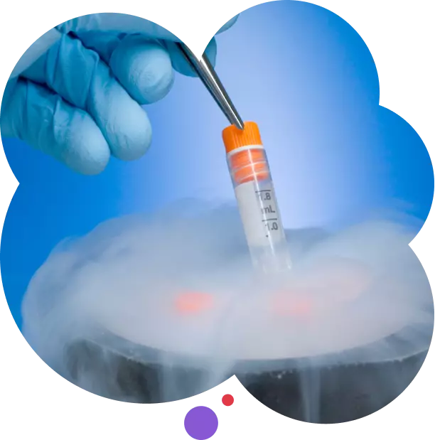 Cryopreservation