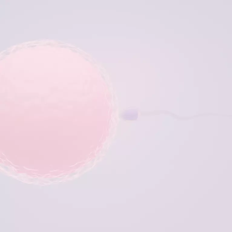 Mini IVF